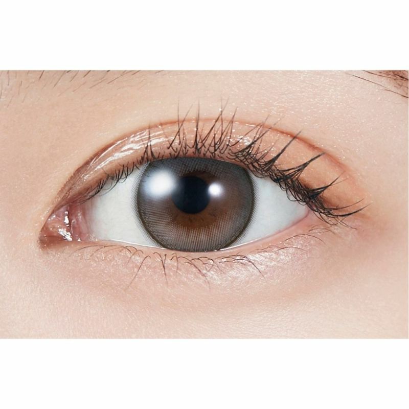 [1day]  モラク ドーリッシュグレー 装用画像