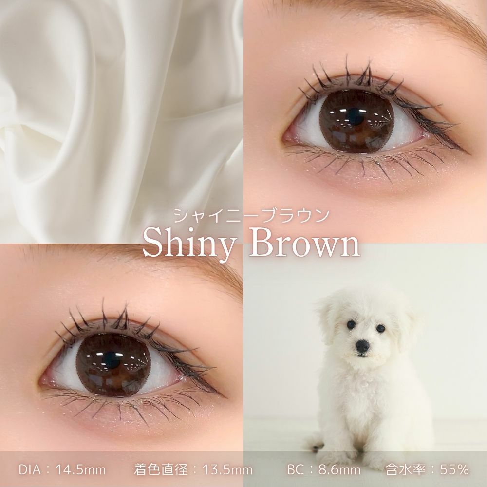 フェリアモワンデー　シャイニーブラウン　レンズスペック