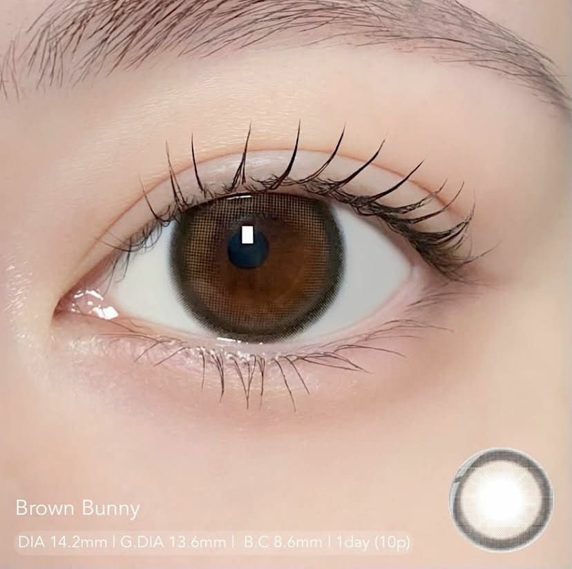 モラク　ブラウンバニー　装用画像