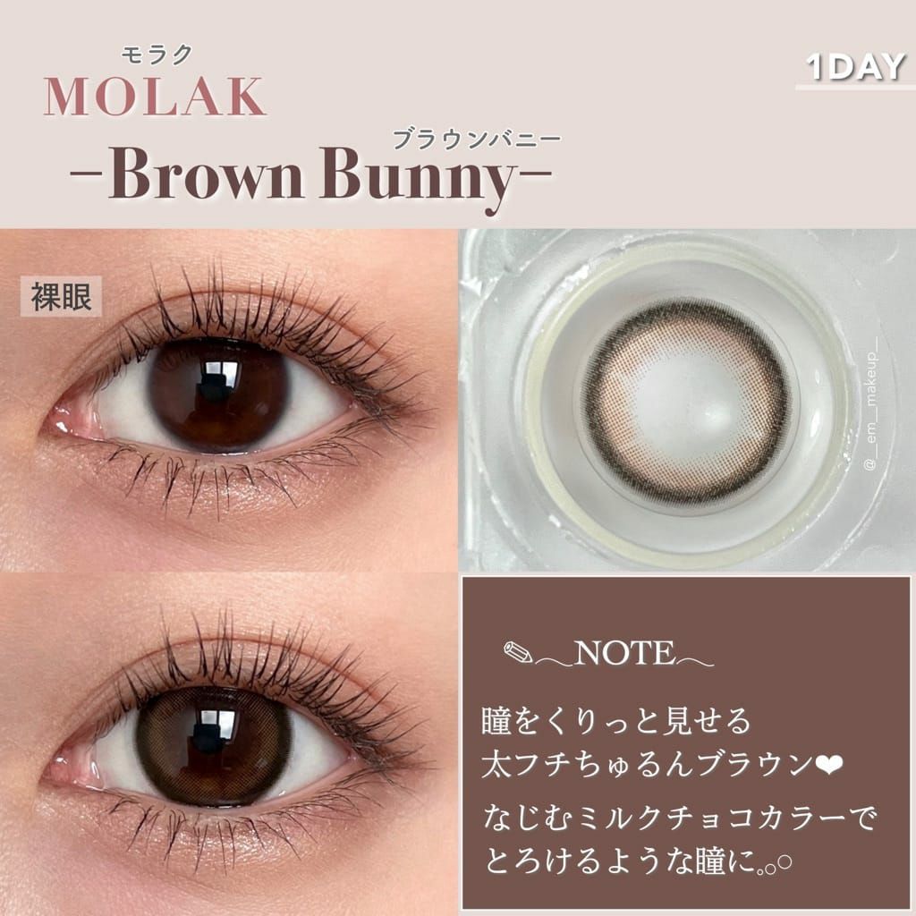 モラク　ブラウンバニー　装用画像