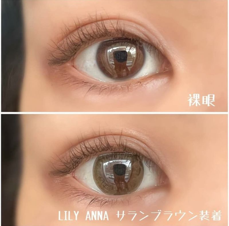 リリーアンナ　サランブラウン　装用画像
