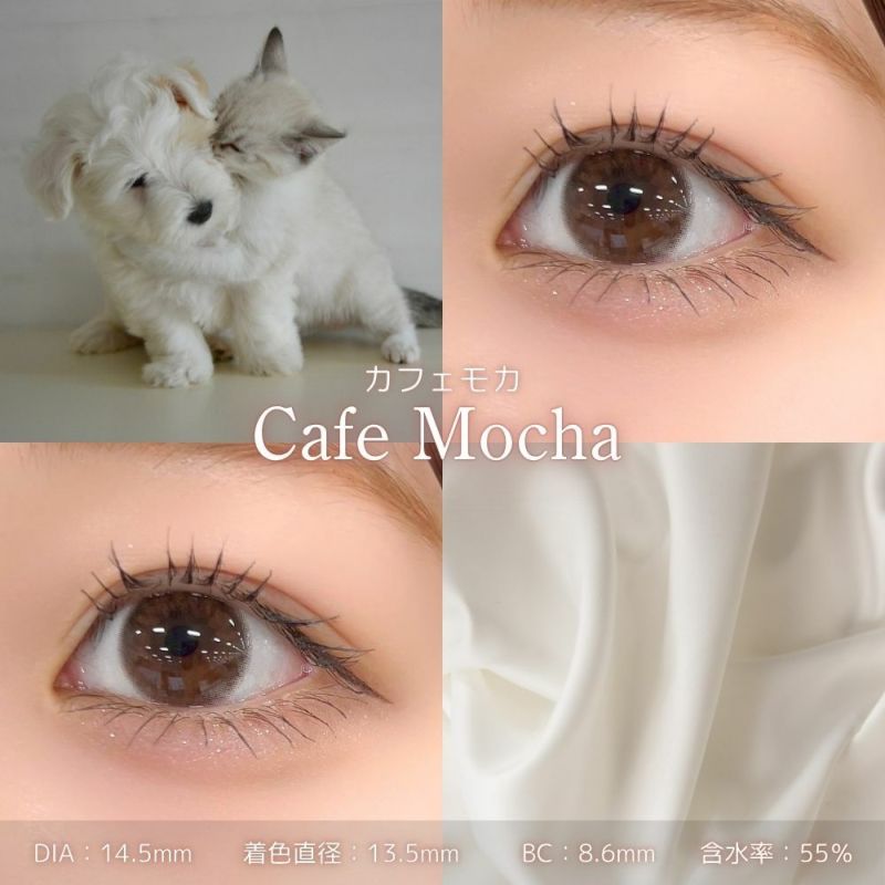 フェリアモワンデー　カフェモカ　レンズスペック