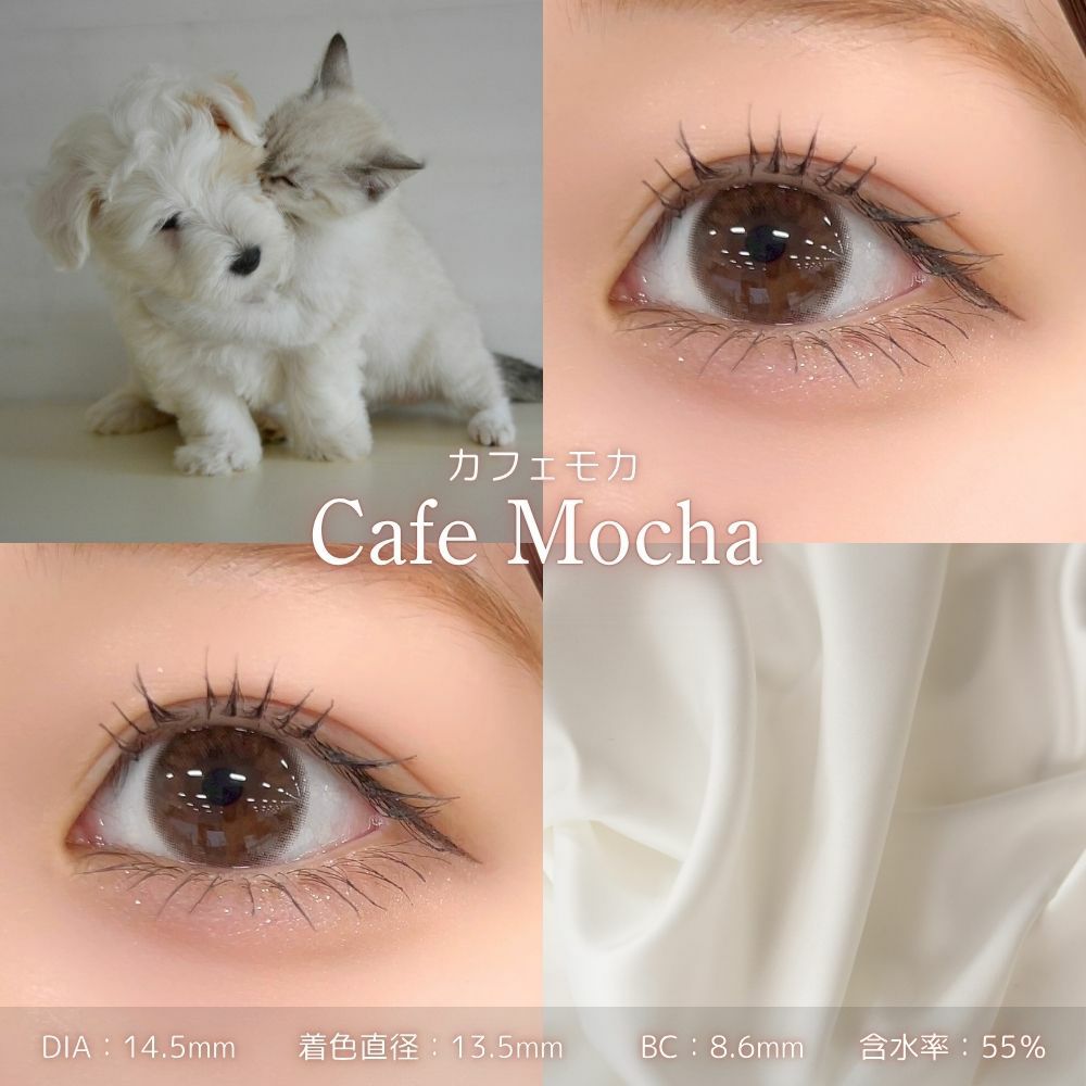 フェリアモワンデー　カフェモカ　レンズスペック