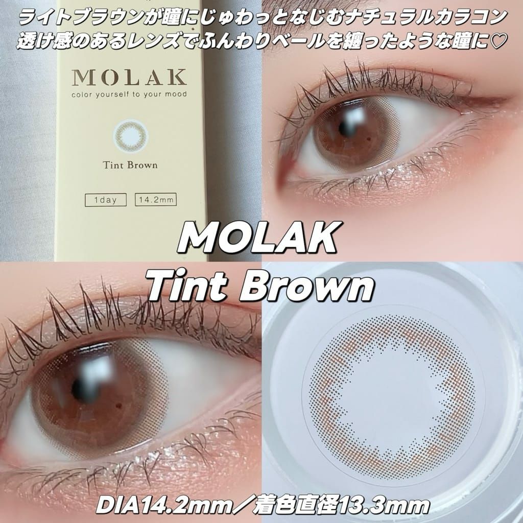 ティントブラウン　モラク　装用画像