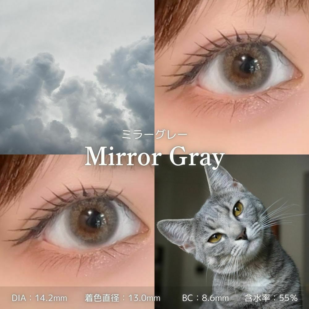 ミラーグレー　モラク　ワンデー　装用画像