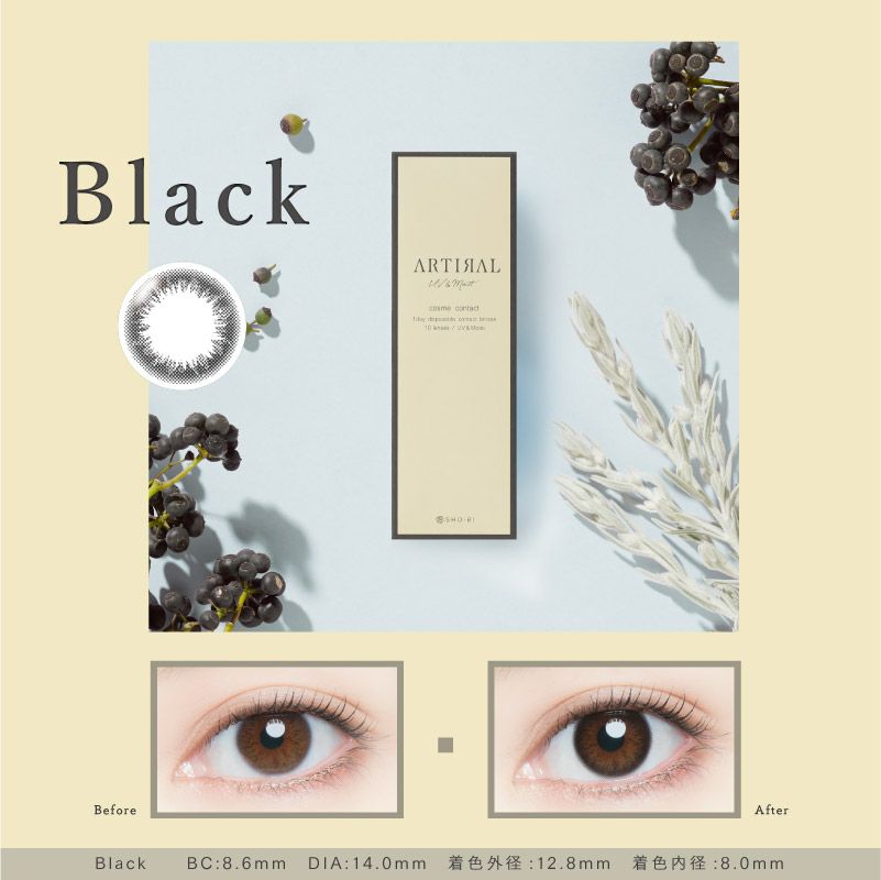 アーティラル　ブラック　商品画像