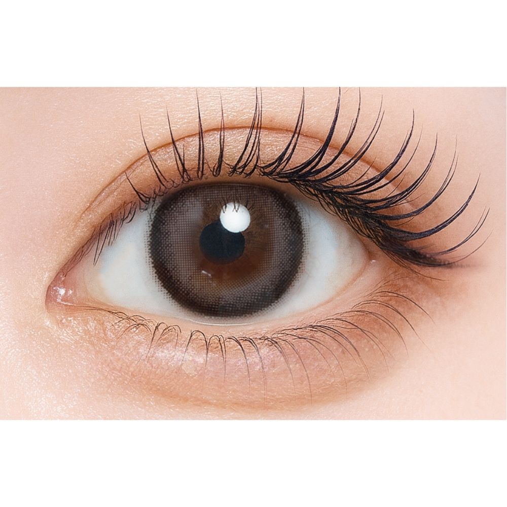 シャルトン ワンデー　コーヒーブラウニー　装用画像