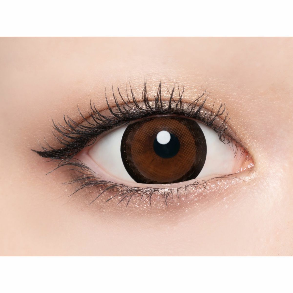 ラヴェール　ブラックビジュー　公式装用画像