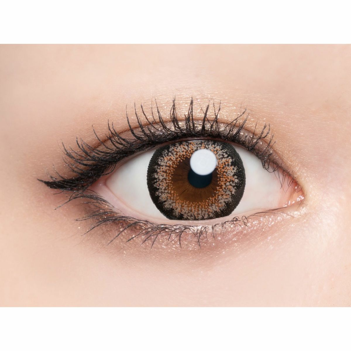 ラヴェール　シルキーベージュ　公式装用画像