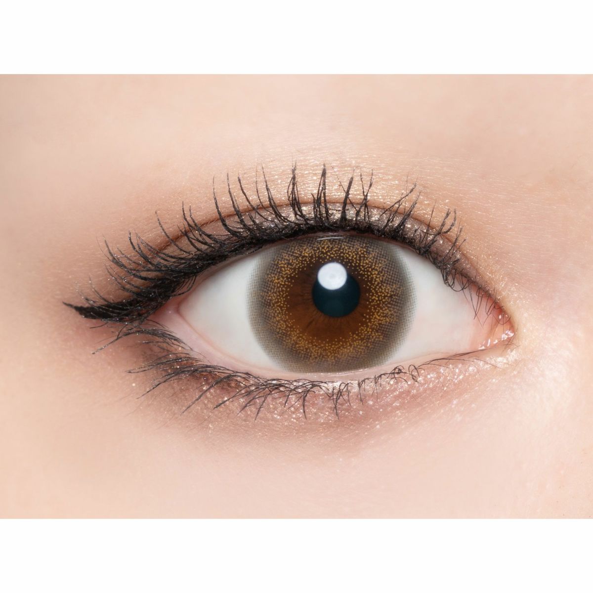 ラヴェール　ラスターグレー　公式装用画像