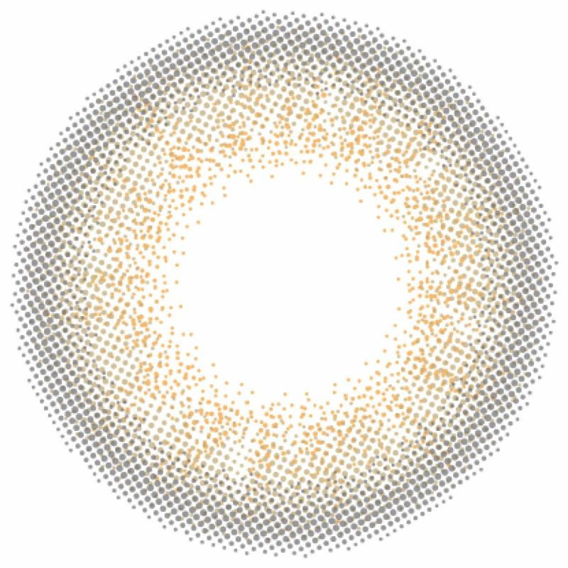 ラヴェール　ラスターグレー　レンズ画像