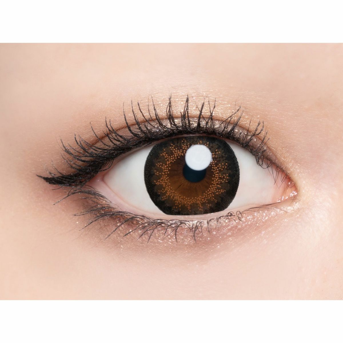 ラヴェール　ミッドナイトアンバー　公式装用画像