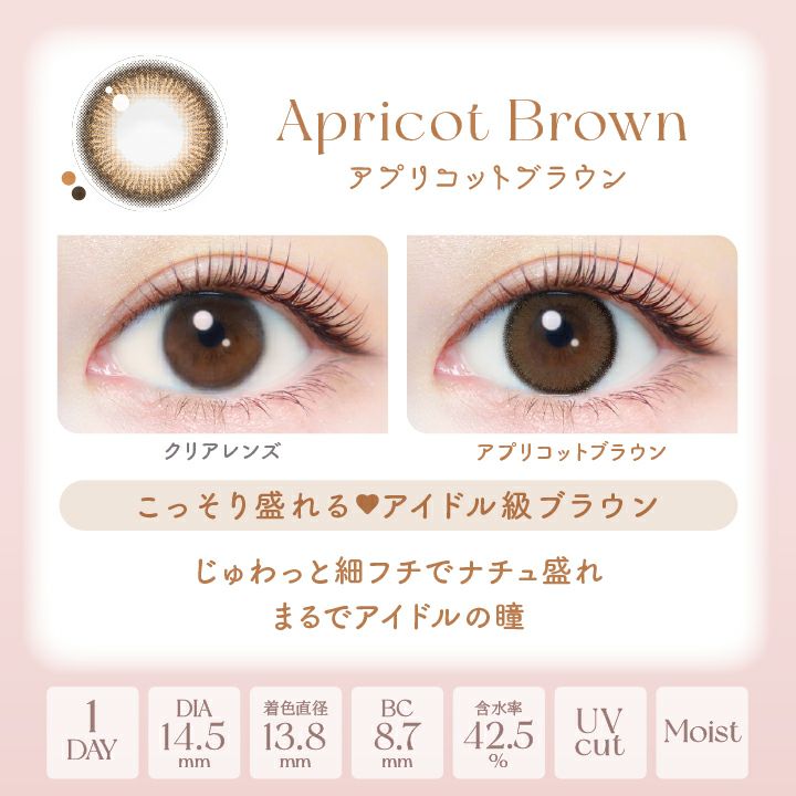 エバーカラーワンデーナチュラル アプリコットブラウン 新木優子 レンズポイント
