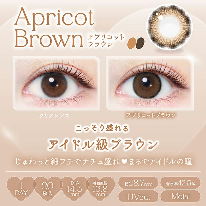 エバーカラーワンデーナチュラル アプリコットブラウン 新木優子 レンズポイント