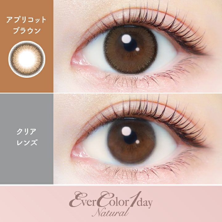 エバーカラーワンデーナチュラル アプリコットブラウン 新木優子　装用画像