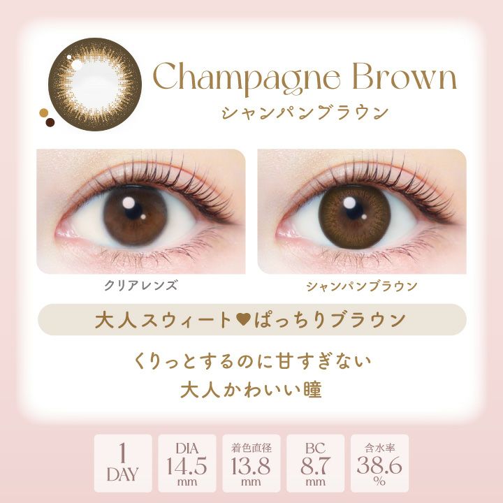 エバーカラーワンデーナチュラル シャンパンブラウン 新木優子 レンズポイント