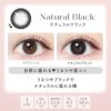 エバーカラーワンデーナチュラル ナチュラルブラック 新木優子 レンズポイント