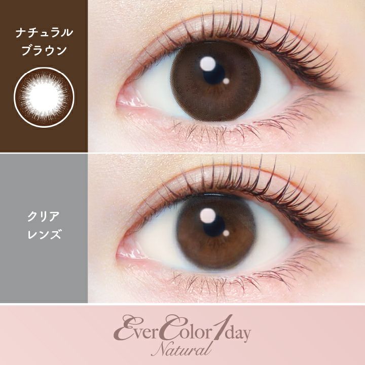  [1day] エバーカラー ワンデー ナチュラル ナチュラルブラウン　公式レンズ画像