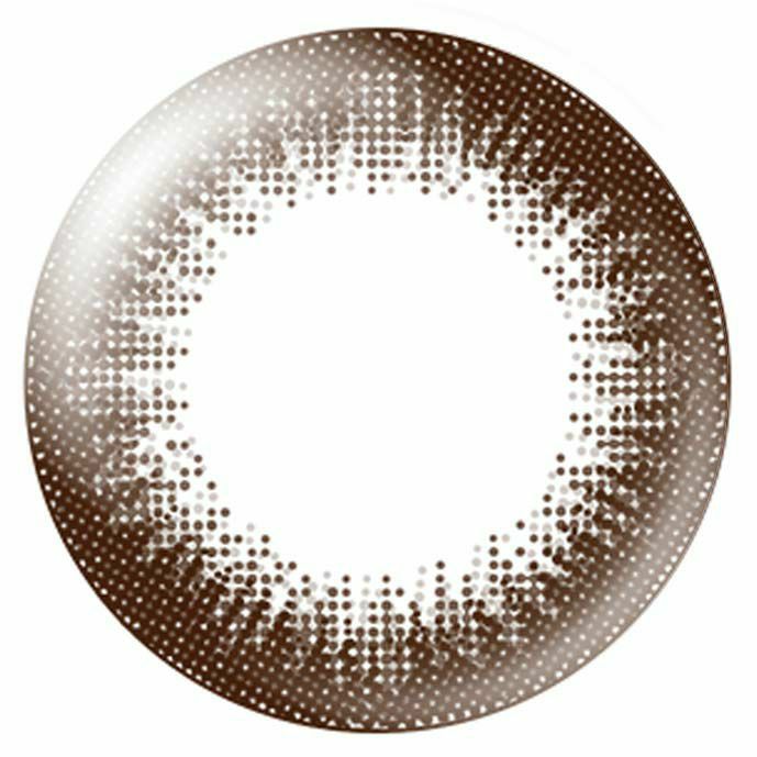 [1day] エバーカラー ワンデー ナチュラル ナチュラルブラウン　レンズ画像