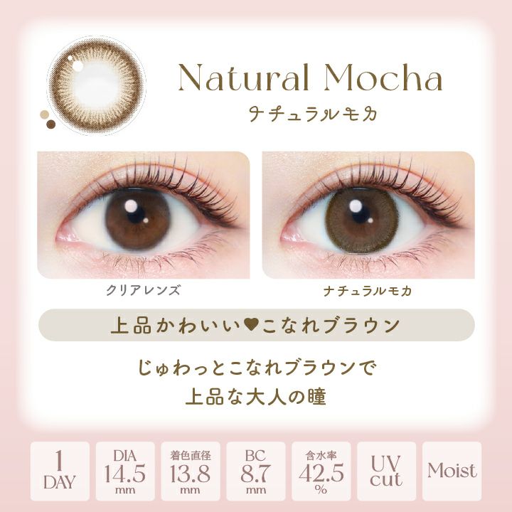 エバーカラーワンデーナチュラル ナチュラルモカ 新木優子 レンズポイント