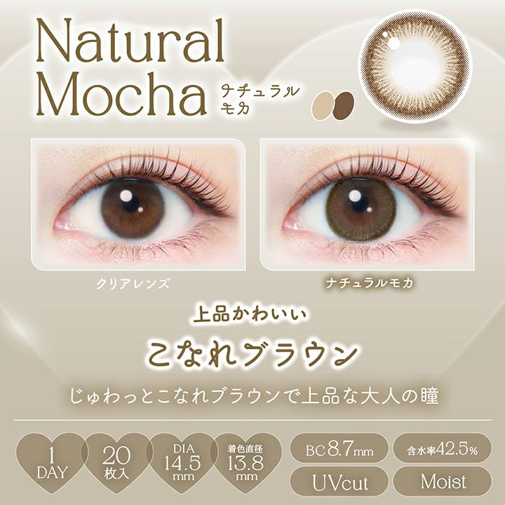 エバーカラーワンデーナチュラル ナチュラルモカ 新木優子 レンズポイント