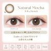 エバーカラーワンデーナチュラル ナチュラルモカ 新木優子 レンズポイント
