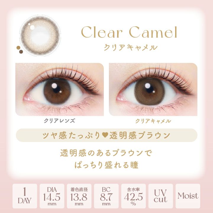 エバーカラーワンデーナチュラル クリアキャメル 新木優子 レンズポイント