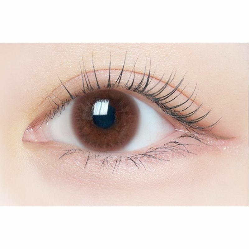  [2week] エルージュ クラリティブラウン　公式装用画像