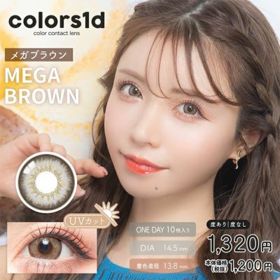 [1day] カラーズ メガブラウン