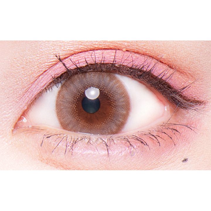 ぽんぽこたぬき　フルーリー　ワンデー　公式装用画像