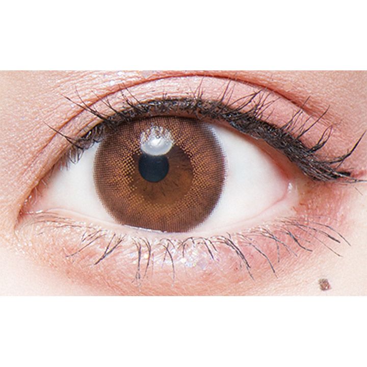 うるうるチワワ　フルーリー　ワンデー　公式装用画像