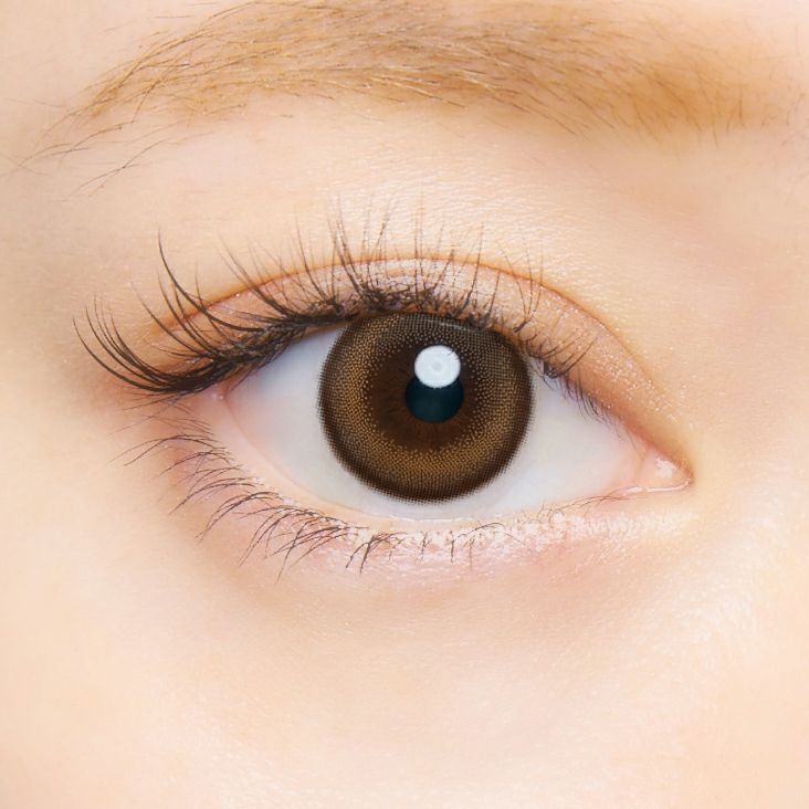 クルーム イブニング 公式装用画像