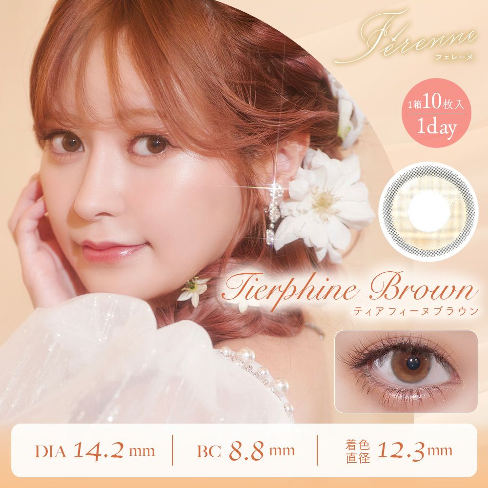 フェレーヌ　ティアフィーヌブラウン　商品画像