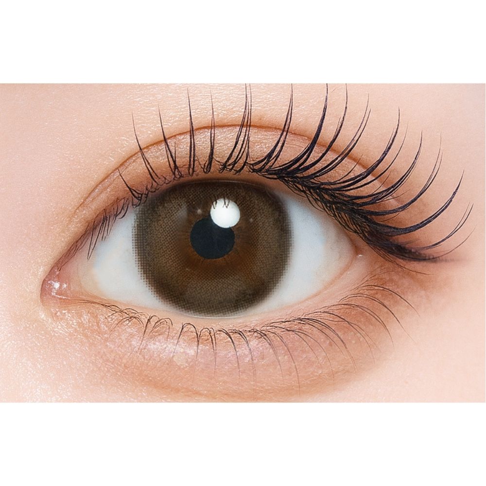 シャルトン ワンデー　ビスケットスモア　装用画像