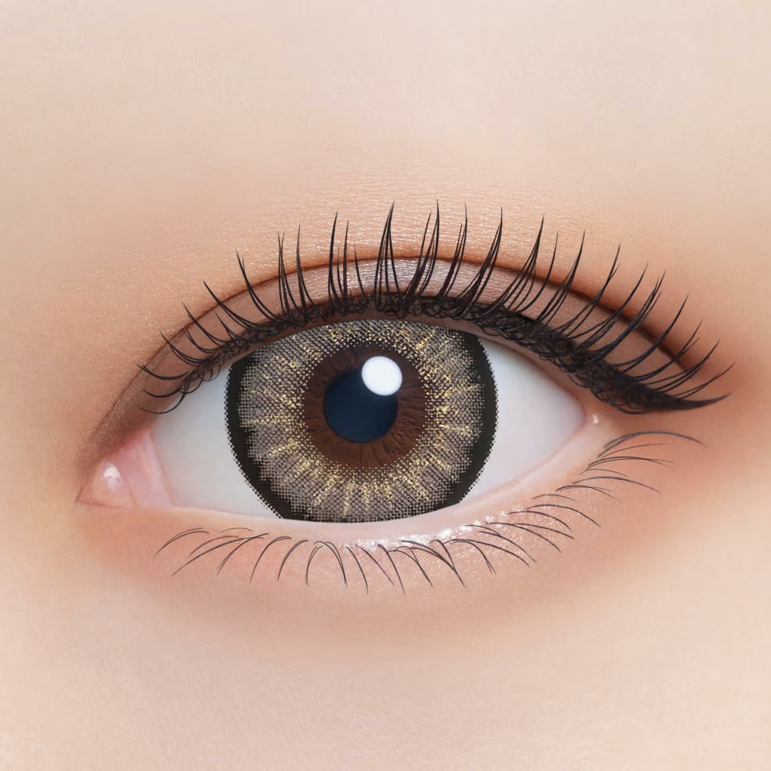 リセイ　ナイトスパーク　装用画像