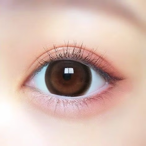 プリモア　プリドーリーブラウン　装用画像