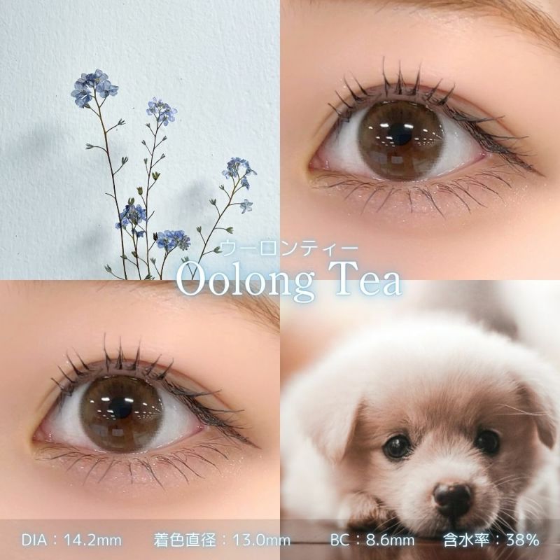 フェリアモ　マンスリー　ウーロンティー　レンズスペック