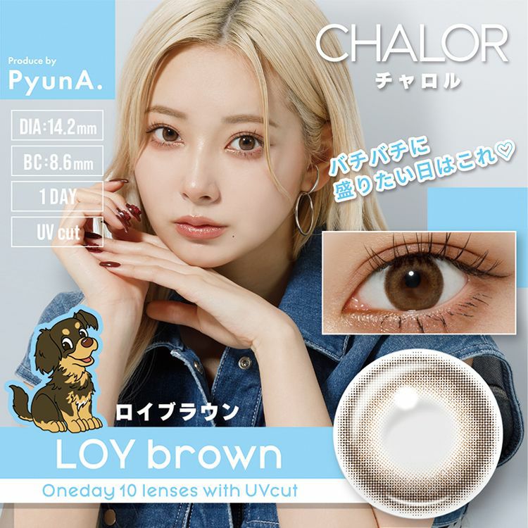 チャロル　ロイブラウン 　商品画像