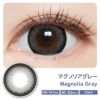 マジェット (Majette) カラコン - 三上悠亜 マグノリアグレー 装用画像