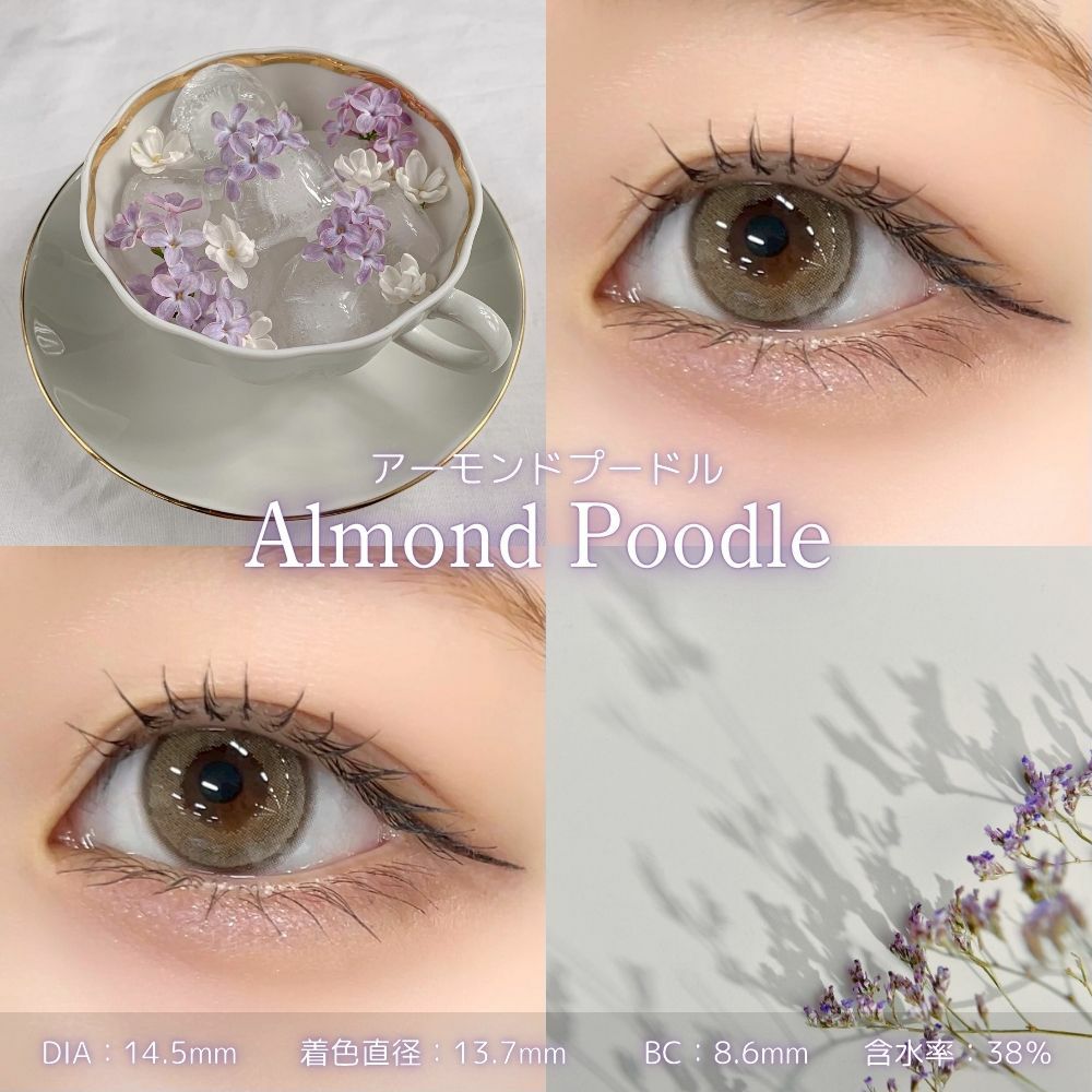 アーモンドプードル　フェリアモ　レンズスペック