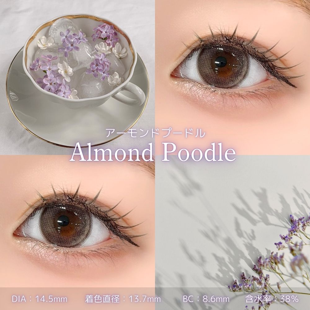1month] フェリアモ アーモンドプードル | カラコン通販 LILY ANNA