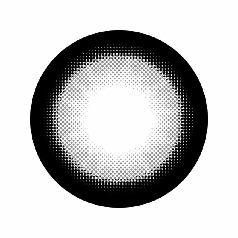 リセイ (RESAY) カラコン 田向星華（せいせい） [1day] リセイ シルバーウルフ レンズ画像