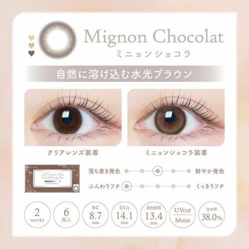 [2week] エルージュ ミニョンショコラ　カラー詳細説明