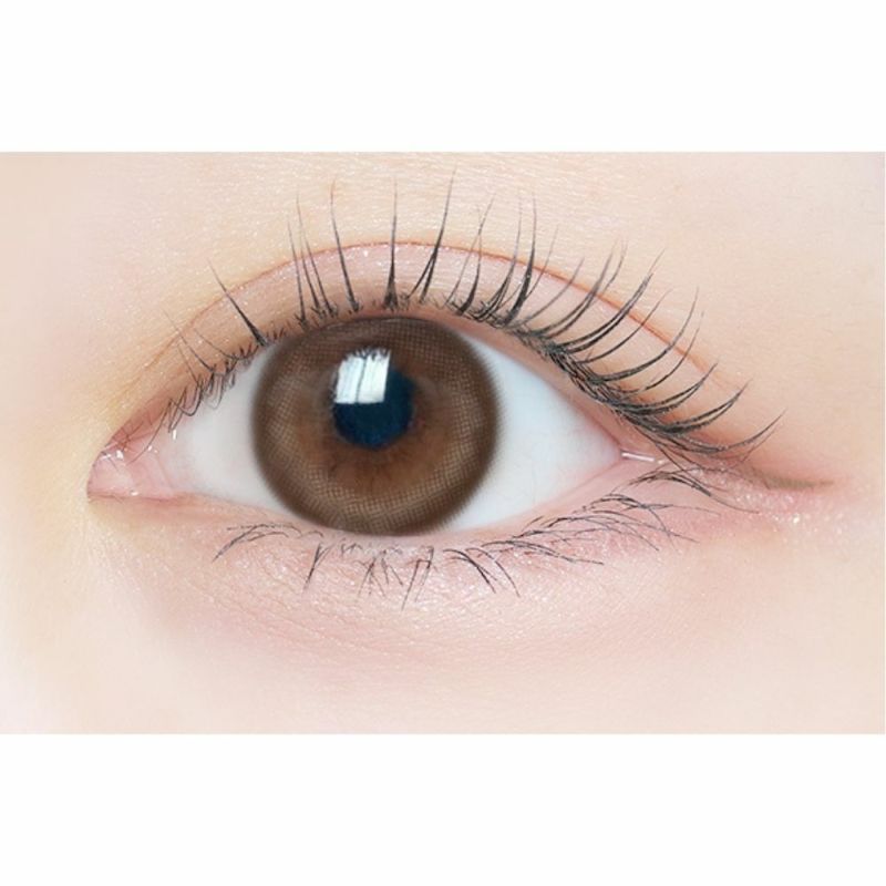 [2week] エルージュ ミニョンショコラ　公式装用