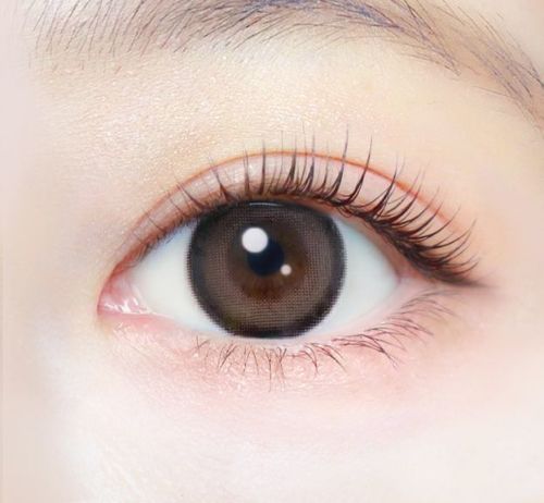 [1day] エバーカラーワンデーナチュラル テディモカ　公式装用画像