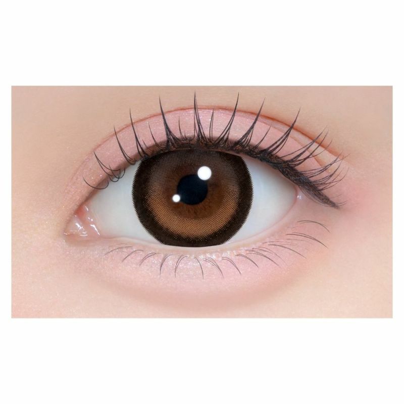 シャプン　ときとめブラウン　公式装用画像