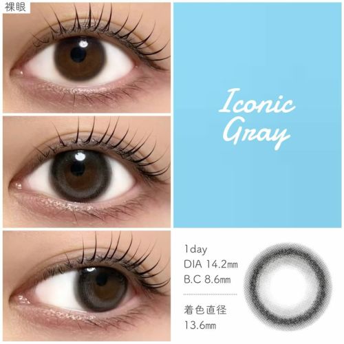 アイスタ―　アイコニックグレー装用画像