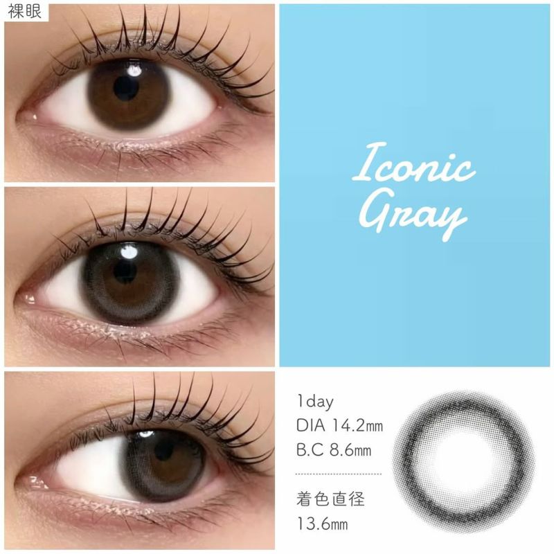 アイスタ―　アイコニックグレー装用画像