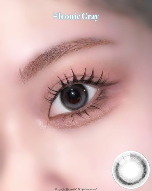 アイスタ―　アイコニックグレー装用画像