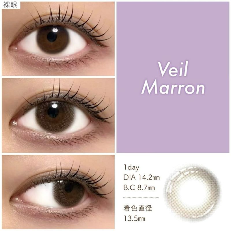 プロウィンク　ヴェールマロン　装用画像